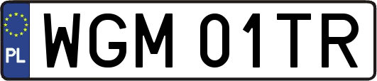WGM01TR