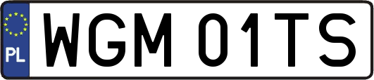 WGM01TS