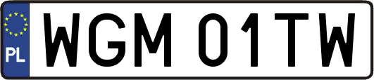 WGM01TW