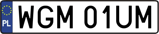 WGM01UM