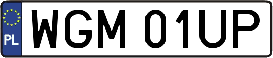 WGM01UP
