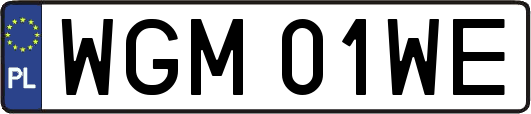 WGM01WE