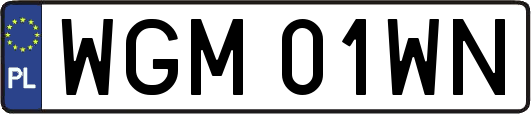 WGM01WN