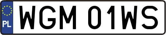 WGM01WS