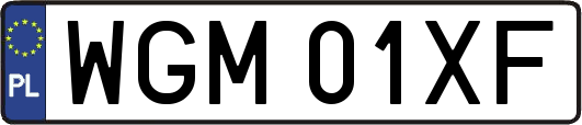 WGM01XF