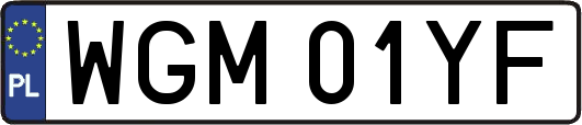 WGM01YF