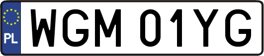 WGM01YG