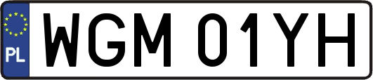 WGM01YH