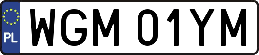 WGM01YM