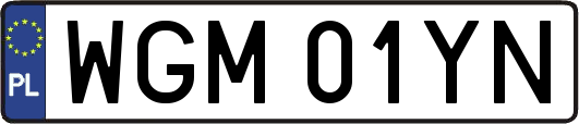 WGM01YN