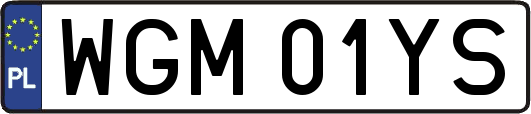 WGM01YS
