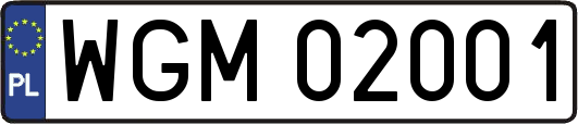 WGM02001