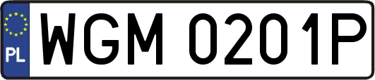 WGM0201P