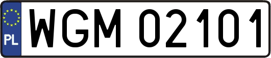 WGM02101