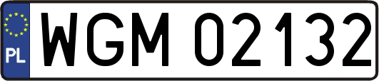 WGM02132