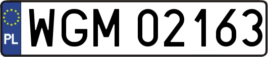 WGM02163