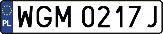 WGM0217J