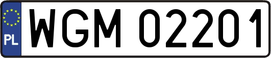 WGM02201