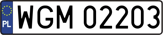 WGM02203