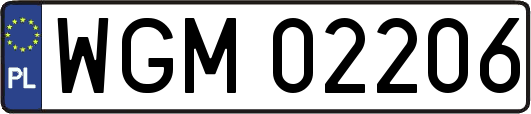 WGM02206