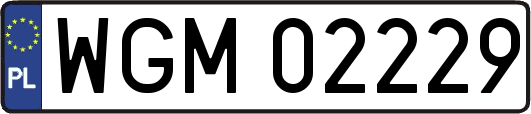 WGM02229