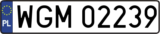 WGM02239