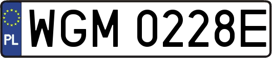 WGM0228E