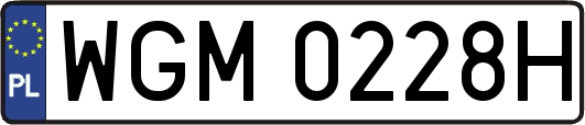 WGM0228H