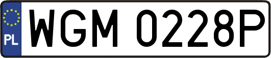WGM0228P