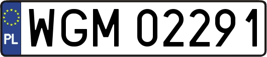 WGM02291