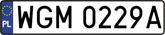 WGM0229A