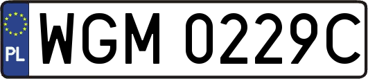 WGM0229C