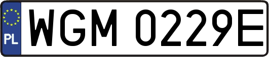WGM0229E