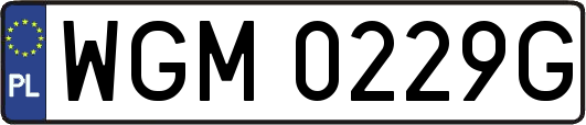 WGM0229G