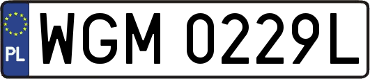 WGM0229L