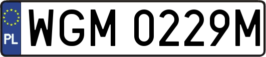 WGM0229M