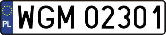 WGM02301