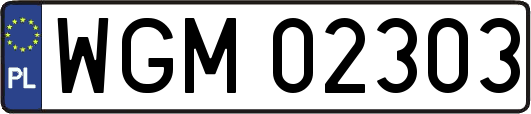 WGM02303