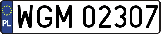 WGM02307