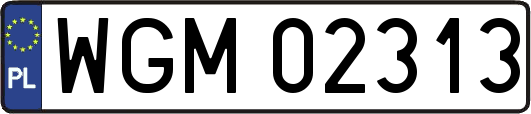WGM02313