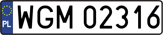 WGM02316