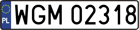 WGM02318