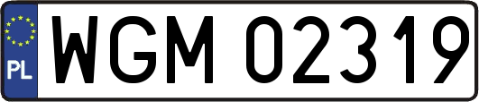 WGM02319
