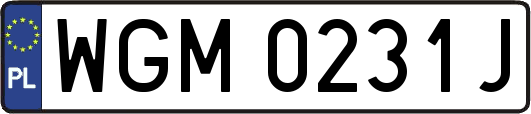 WGM0231J