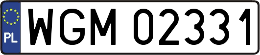 WGM02331