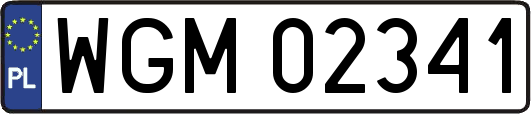 WGM02341