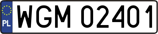 WGM02401