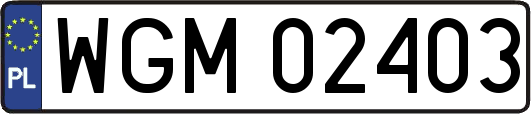 WGM02403