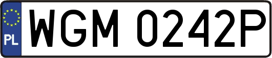 WGM0242P