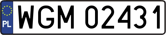 WGM02431